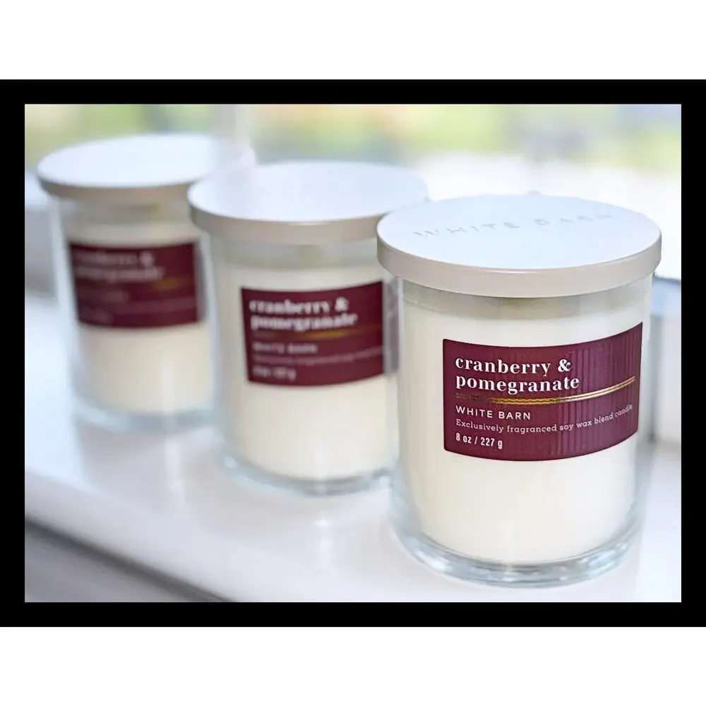 Lot of 3 Bath & Body Works Cranberry & Pomegranate Single Wick Candle